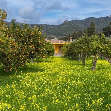 A Charming Country Cottage + Bikes And Kayaks Bosa Exterior foto